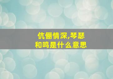 伉俪情深,琴瑟和鸣是什么意思