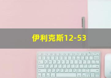 伊利克斯12-53