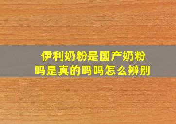 伊利奶粉是国产奶粉吗是真的吗吗怎么辨别