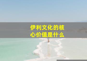 伊利文化的核心价值是什么