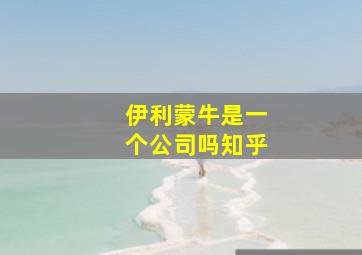 伊利蒙牛是一个公司吗知乎