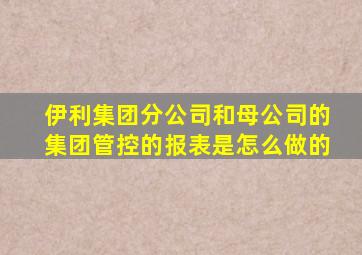 伊利集团分公司和母公司的集团管控的报表是怎么做的