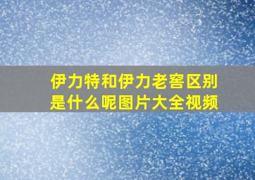 伊力特和伊力老窖区别是什么呢图片大全视频