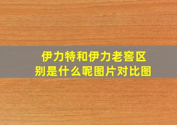 伊力特和伊力老窖区别是什么呢图片对比图