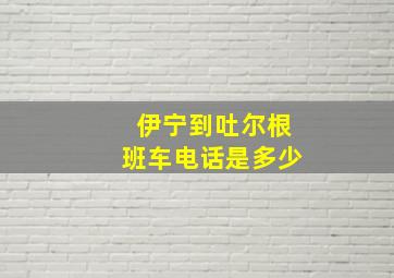 伊宁到吐尔根班车电话是多少