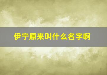 伊宁原来叫什么名字啊