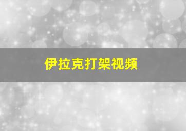 伊拉克打架视频