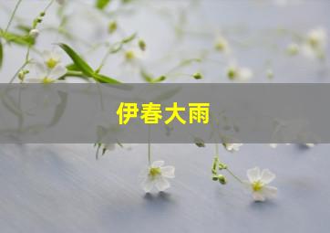 伊春大雨