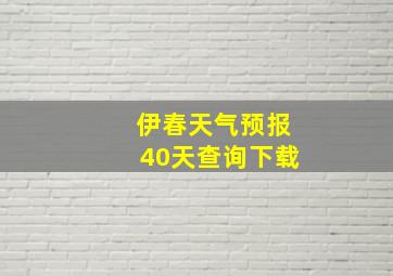 伊春天气预报40天查询下载