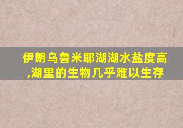 伊朗乌鲁米耶湖湖水盐度高,湖里的生物几乎难以生存