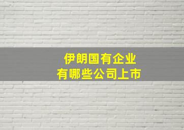 伊朗国有企业有哪些公司上市