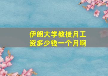 伊朗大学教授月工资多少钱一个月啊