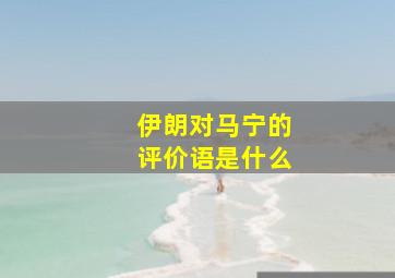 伊朗对马宁的评价语是什么