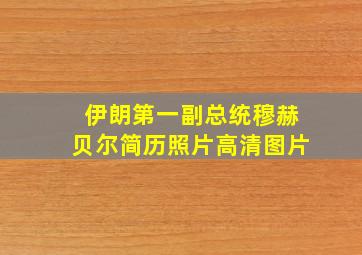 伊朗第一副总统穆赫贝尔简历照片高清图片