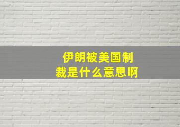 伊朗被美国制裁是什么意思啊