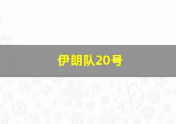 伊朗队20号