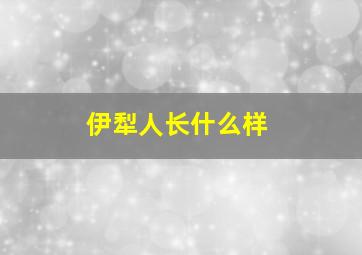 伊犁人长什么样