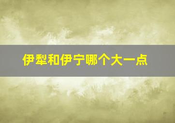 伊犁和伊宁哪个大一点