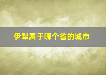 伊犁属于哪个省的城市