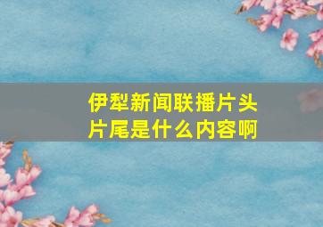 伊犁新闻联播片头片尾是什么内容啊