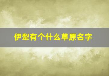 伊犁有个什么草原名字