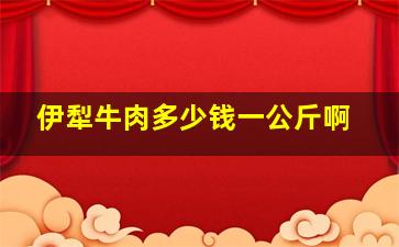 伊犁牛肉多少钱一公斤啊