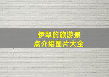 伊犁的旅游景点介绍图片大全