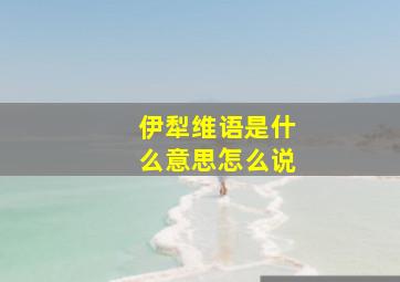 伊犁维语是什么意思怎么说