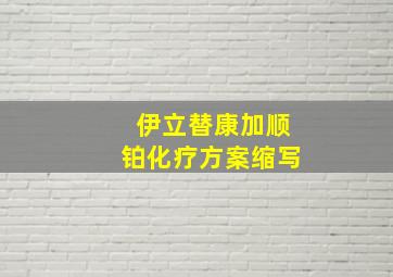 伊立替康加顺铂化疗方案缩写