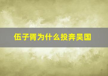 伍子胥为什么投奔吴国