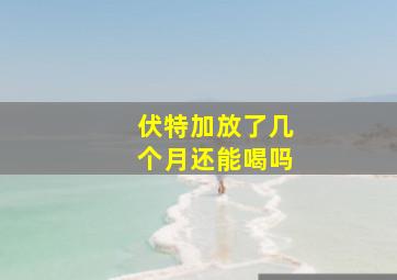 伏特加放了几个月还能喝吗