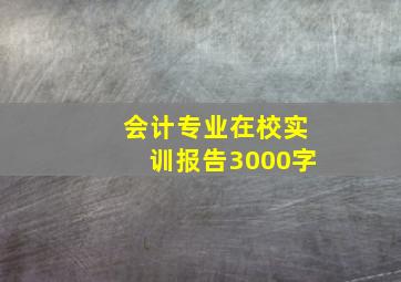 会计专业在校实训报告3000字