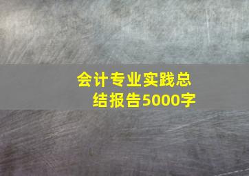 会计专业实践总结报告5000字