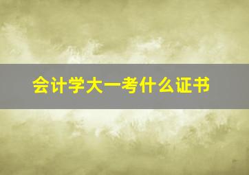 会计学大一考什么证书