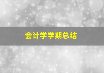 会计学学期总结