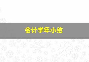 会计学年小结