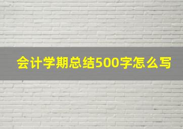 会计学期总结500字怎么写