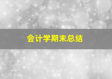 会计学期末总结