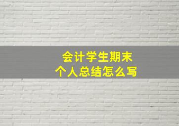 会计学生期末个人总结怎么写