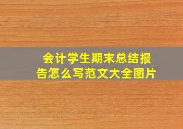 会计学生期末总结报告怎么写范文大全图片