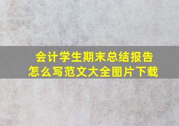 会计学生期末总结报告怎么写范文大全图片下载