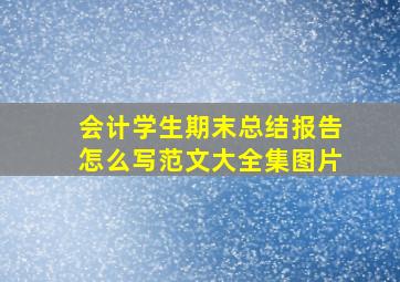 会计学生期末总结报告怎么写范文大全集图片