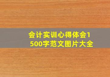 会计实训心得体会1500字范文图片大全