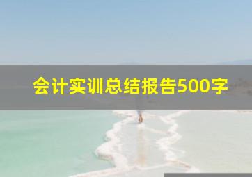 会计实训总结报告500字