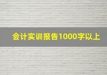 会计实训报告1000字以上