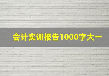 会计实训报告1000字大一