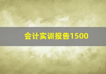 会计实训报告1500