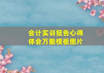 会计实训报告心得体会万能模板图片