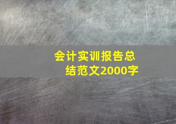 会计实训报告总结范文2000字