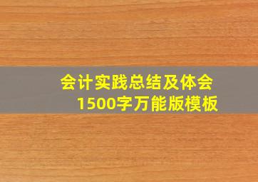 会计实践总结及体会1500字万能版模板